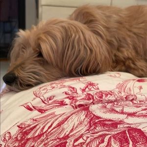 Meet your Posher, Melanie